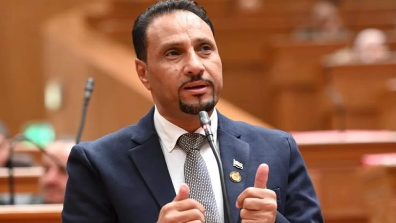 مصر تقود مبادرات تثبيت التهدئة في غزة وفقًا للنائب جرجس لاوندى